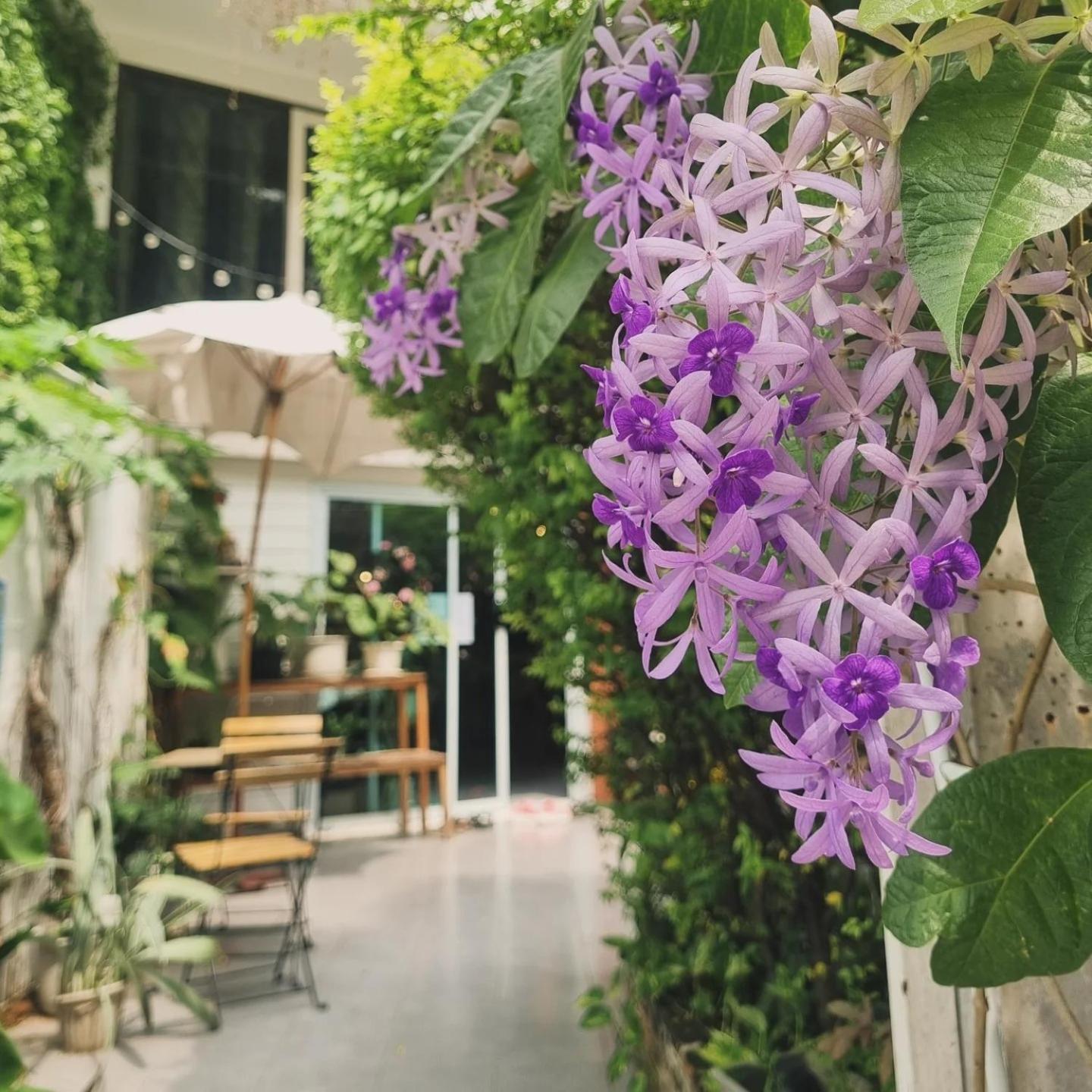 Home16 Sukhumvit16 Bangkok Exteriér fotografie